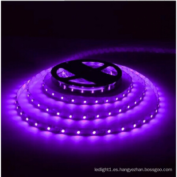 Tira de LED morado Ce y Rhos 30SMD5050